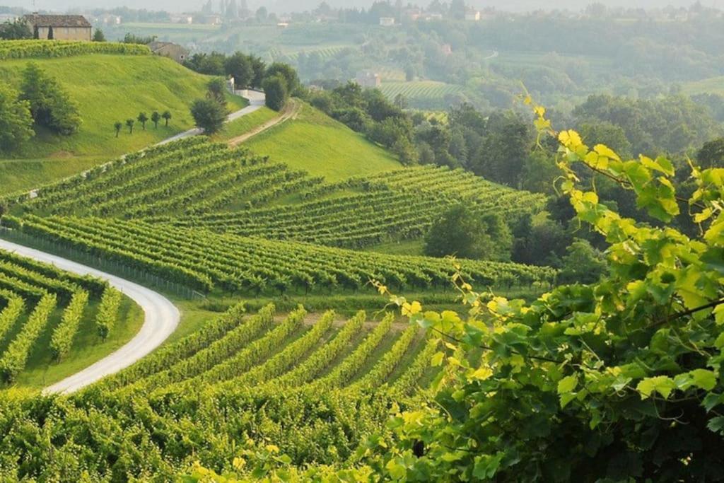La Casa Di M : D M. Villa Breda di Piave Eksteriør bilde